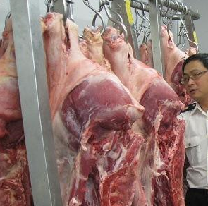 香蕉操逼视频设备厂家