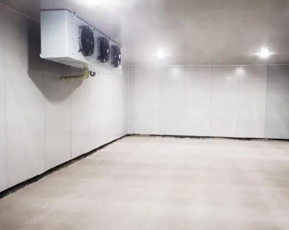 钢结构冷库造价要多少钱一平方？安徽香蕉视频成人在线制冷告诉您