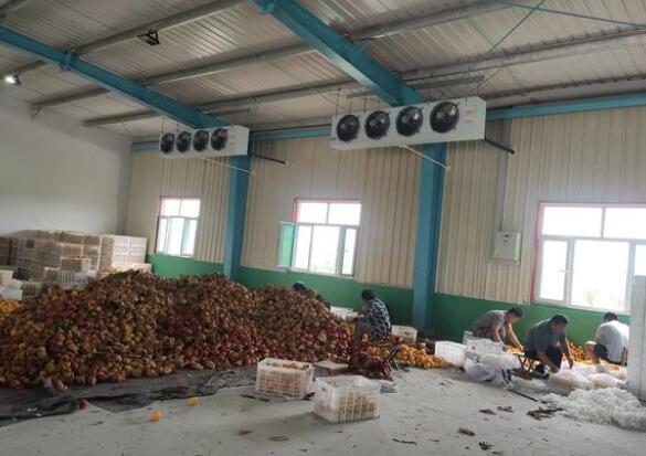 保鲜冷库有什么特点！请看安徽香蕉视频成人在线冷库厂家的介绍！